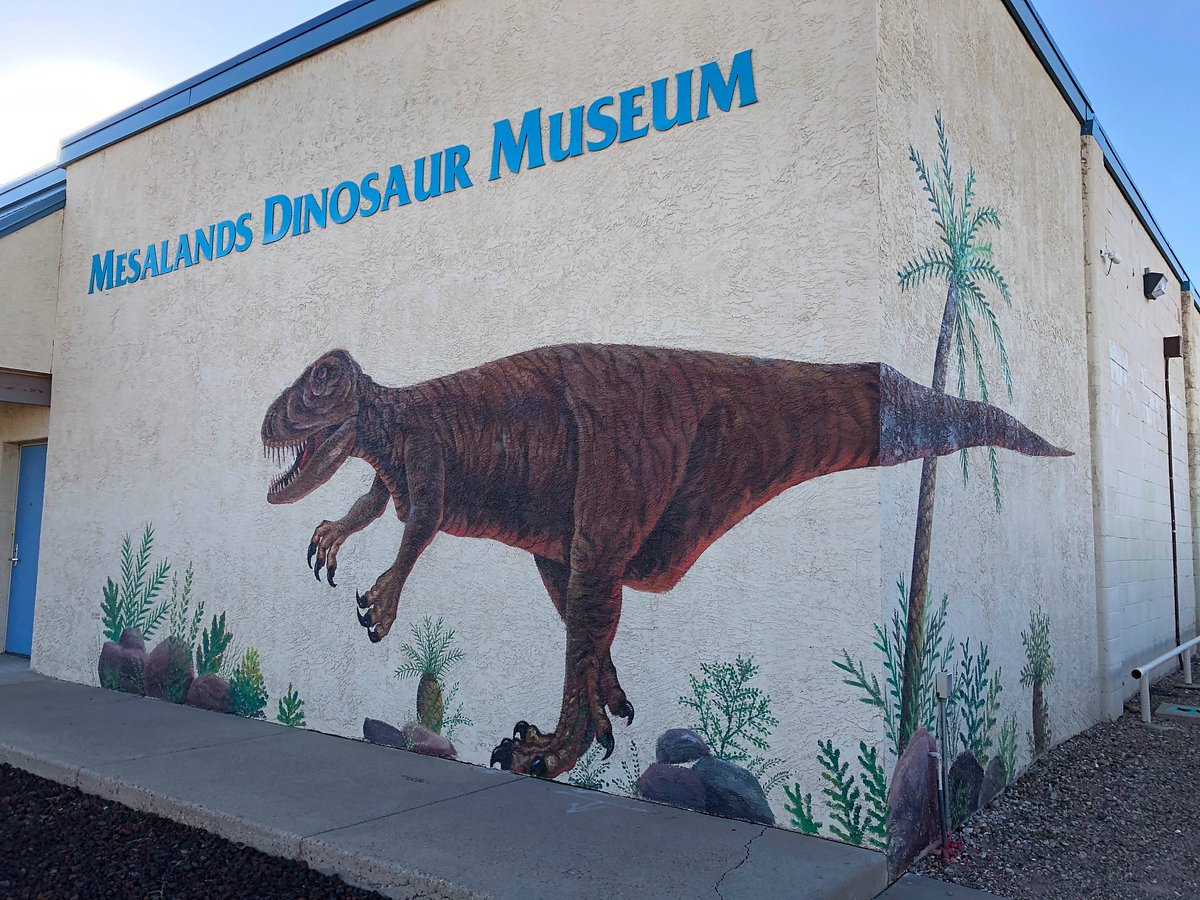 Things to Do Near Tucumcari NM